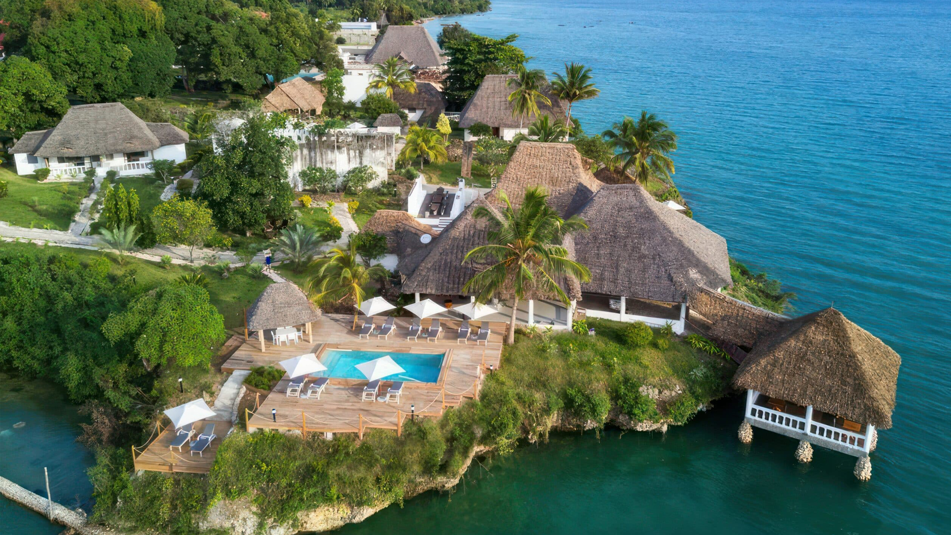 Zanzibar Marine Life