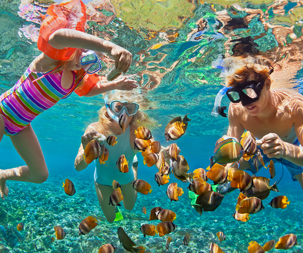 Snorkeling Adventures